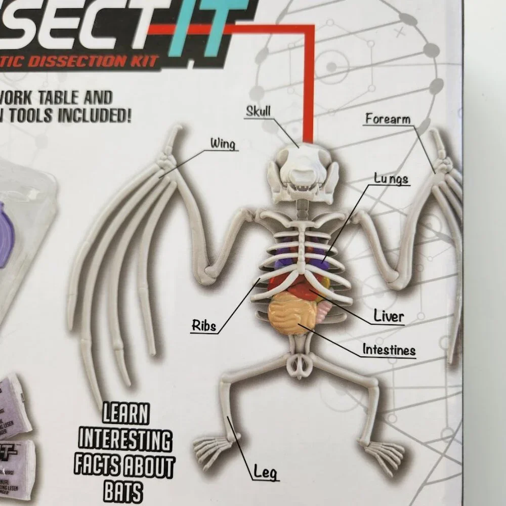 NEW Dissect-it Synthetic Lab Dissection Toy STEM KIT CRAFT Project Bat Biology A